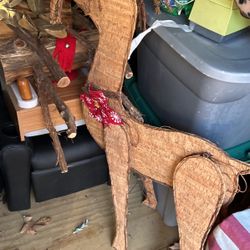 Reindeer 