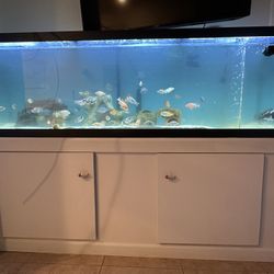 125 gallon fish tank