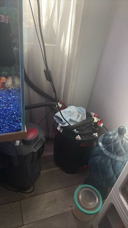 Fish tank