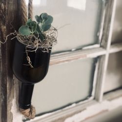 Super Cute Hanging Succulent Wine Bottle 