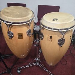Bongo