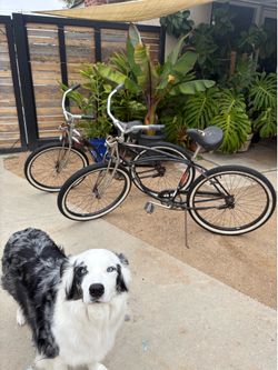 His and Hers Vintage Schwinn Beach Cruisers