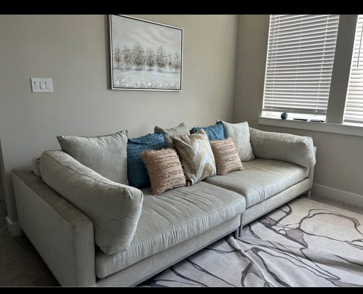 Silver Couch Set with Rug