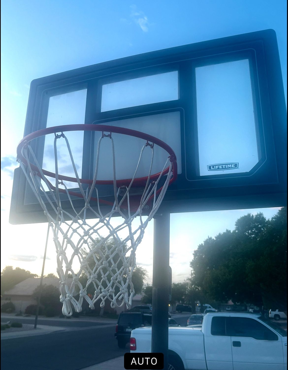 Lifetime Basketball Hoop