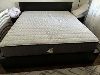 Brampton Mattress