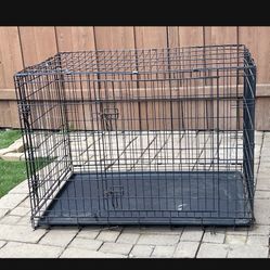Birds Cages 
