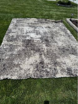 Thomasville 7’10” × 10’ Plush Shag Area Rug – $100