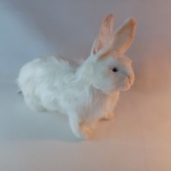 EASTER HANSA WOODLAND PRAIRIE SNOW BUNNY RABBIT HARE PLUSH STUFFED ANIMAL #4672 NEW W/ TAGS 10.5"H X 15" L.