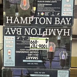 Hampton Bay Indoor/Outdoor 12-Light 24 ft. Smart Plug-in Edison Bulb RGBW Color Changing LED String Light Powered by Hubspace 