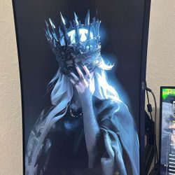 Acer Monitor 