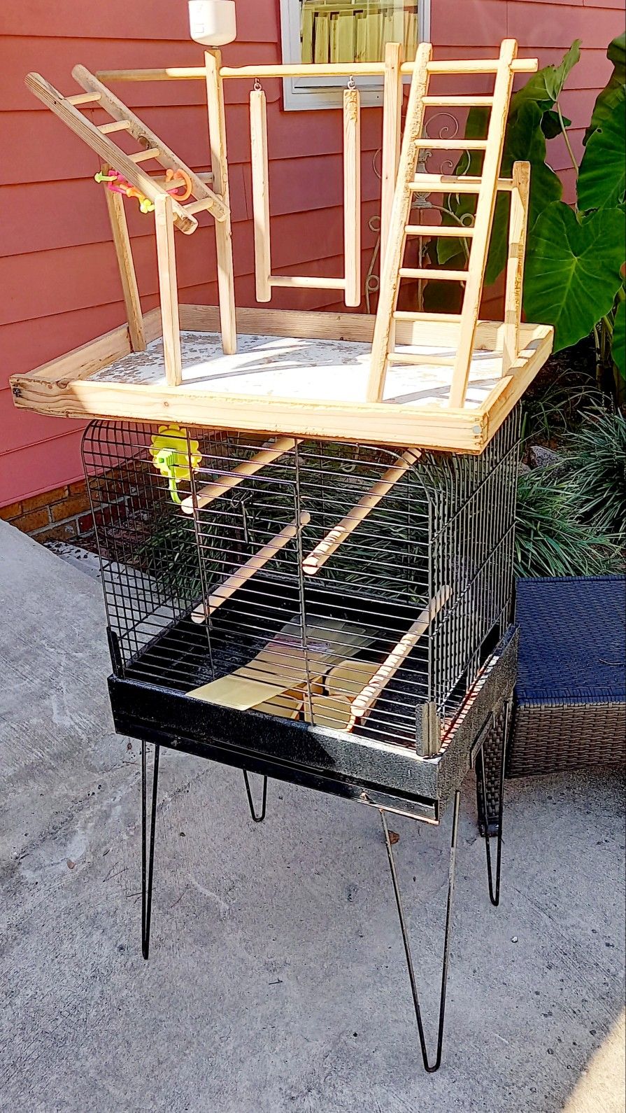 Bird Cage 🐦 And Play Station