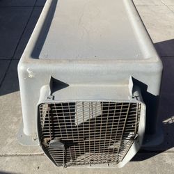 Xl Dog Kennel