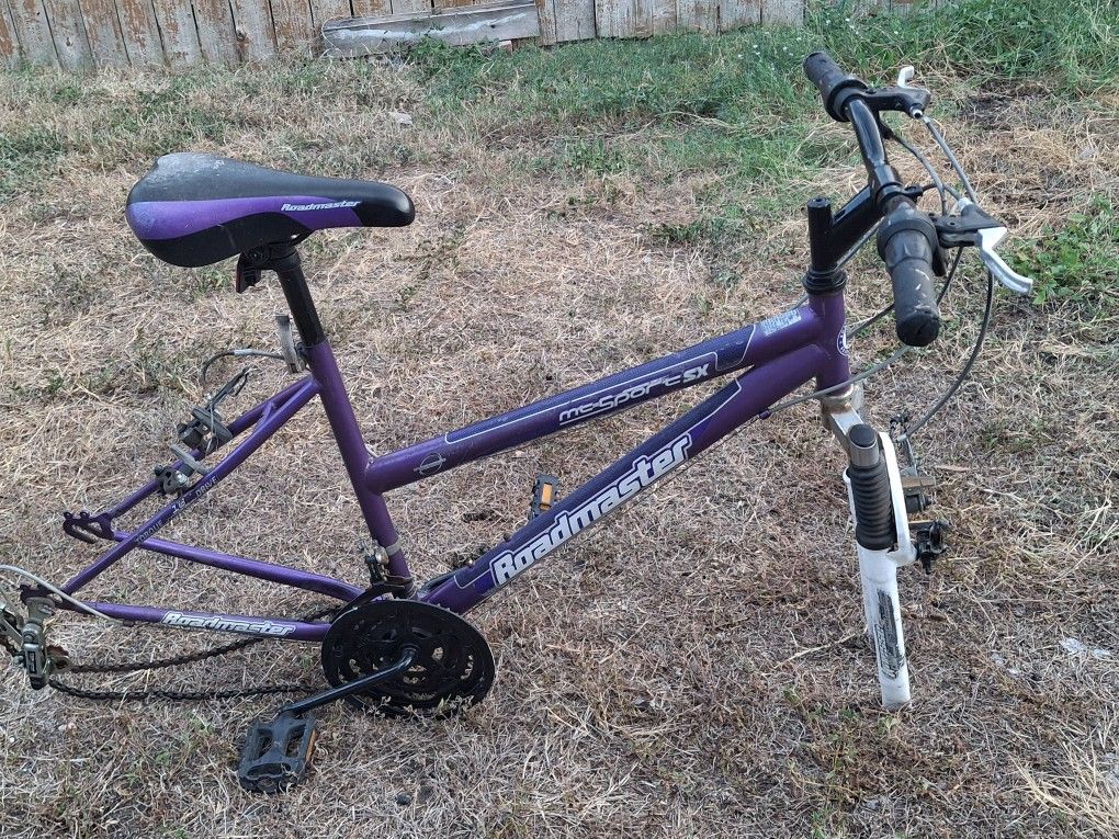 Bike Frame 