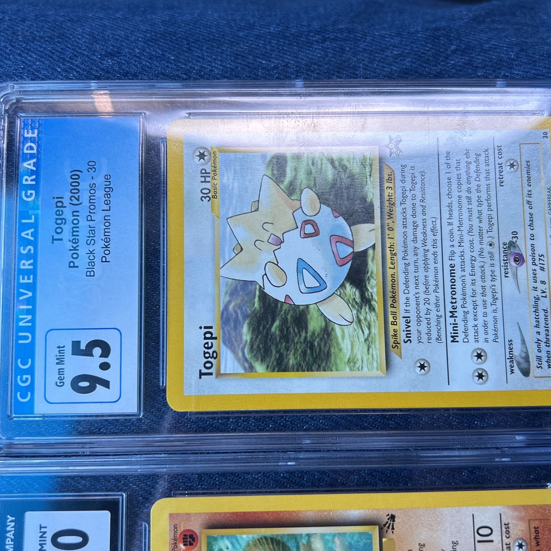 pokemon cards selling prices Amazon.com: Pokemon TCG: Knock Out Collection Random Deal | Get 3 Rare Foil  Lucario, Bisharp, and Zoroark OR Tyranitar, Shiftry and Vivillon main image 1