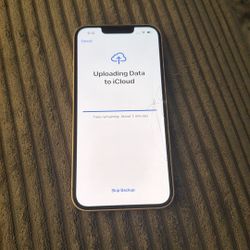 iPhone 13 Unlocked Any Carrier 