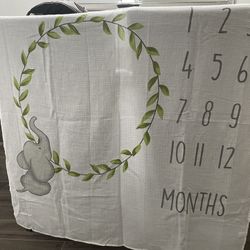 Baby Month To Month Photos