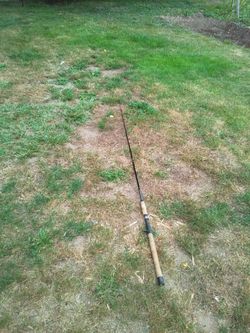 The pole is a batecaster no reel to