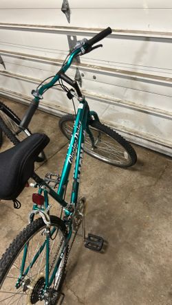 Amazing Adult Bikes