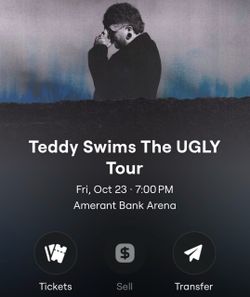 Teddy swims