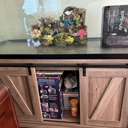 Fish Tank 