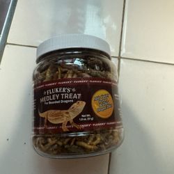 Bearded Dragon Food