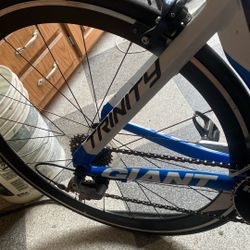 giant trinity bike