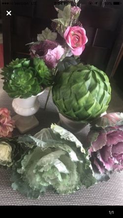 Artificial plants /variety