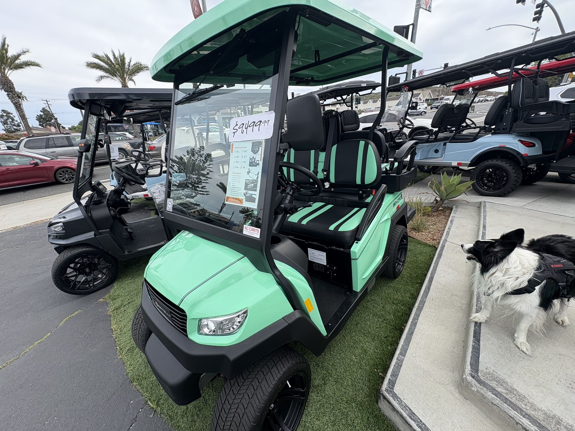 2024 Bintelli Beyond 4-Passenger Non-Lifted 48V Street Legal LSV Golf Cart