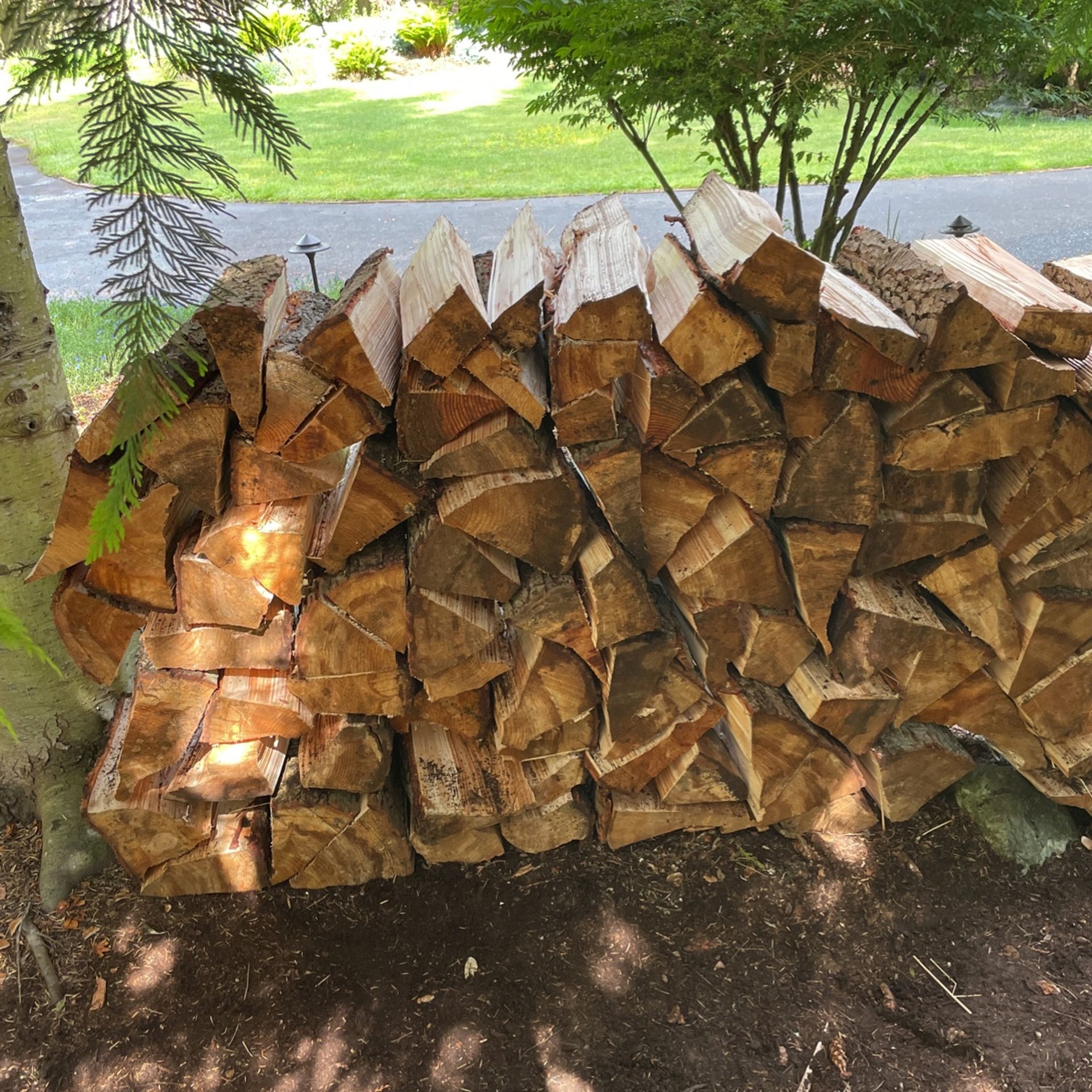 Wood For Sale for Sale in Lynnwood, WA - OfferUp