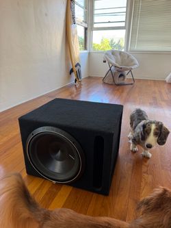 Rockford Fosgate Punch  P3 Subwoofer 12 inch