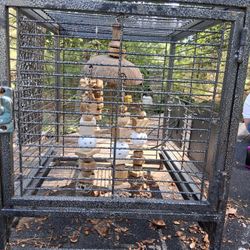 Bird Cage