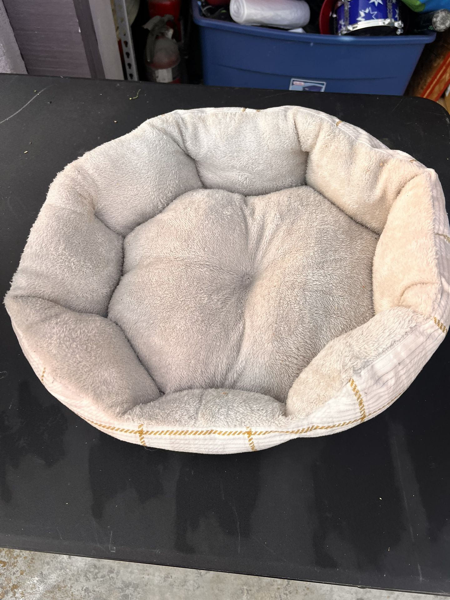 Cat Bed