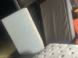 full size box springs 60.00 each i have two of them