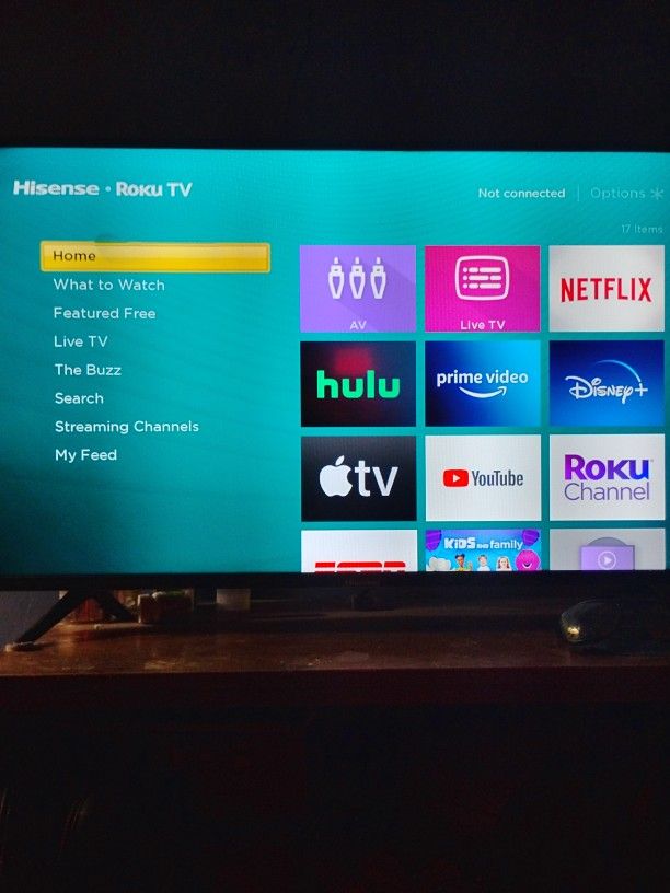 40 Inch Hisense Roku TV
