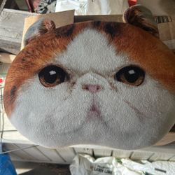 Cat Pillow