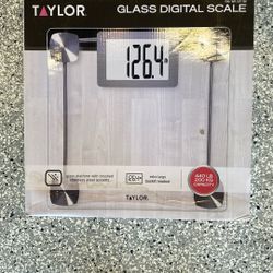 Scale - Body weight 