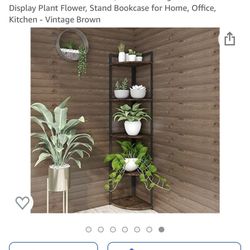 Super Hare Corner 5 Shelf $45