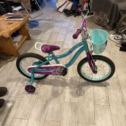 Schwinn Elm Girls Bike Training Wheels 