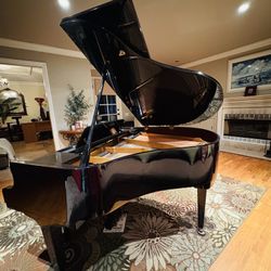  Beautiful Maeari Baby Grand Piano Delivery Options Available!