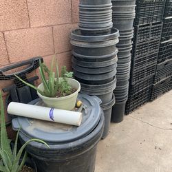 So many different Plant buckets three sizes