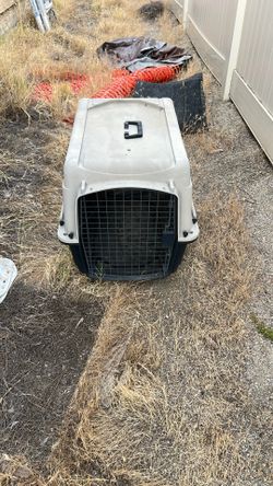 Dog Kennel
