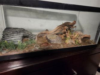 Reptile terrarium set and Accessories
