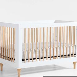 Convertible Baby Crib With Toddler Bed Conversion Kit