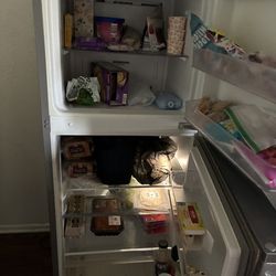 Whirlpool apartment size stainless steel refrigerator