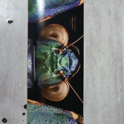 Peralta Skateboard Brand New