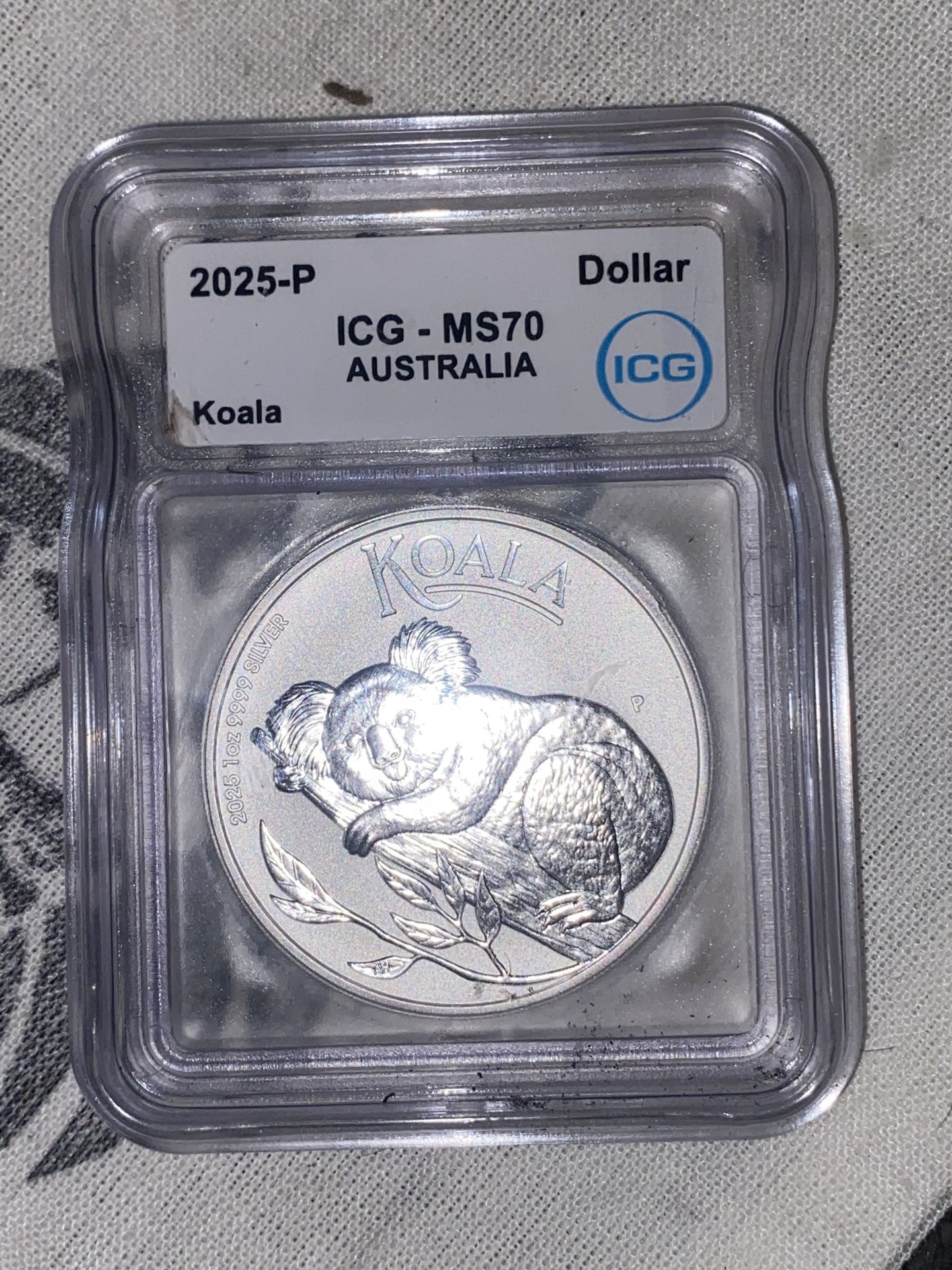 2025 P ICGMS 70 Australia koala