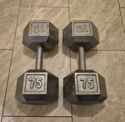 Dumbbell exercise weights 75 lbs