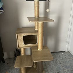 Cat  House 
