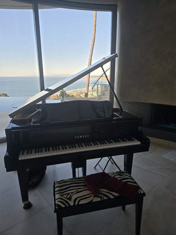 Yamaha dgb1kenst