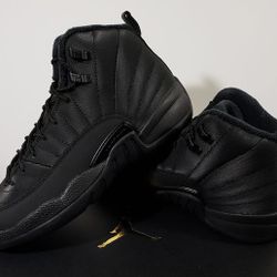 jordan 12 retro winter black All Sizes